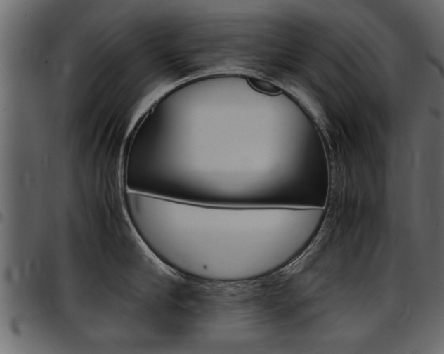 X0000097600910200802290729