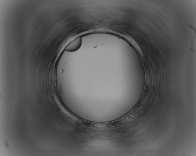 X0000097600911200802290729