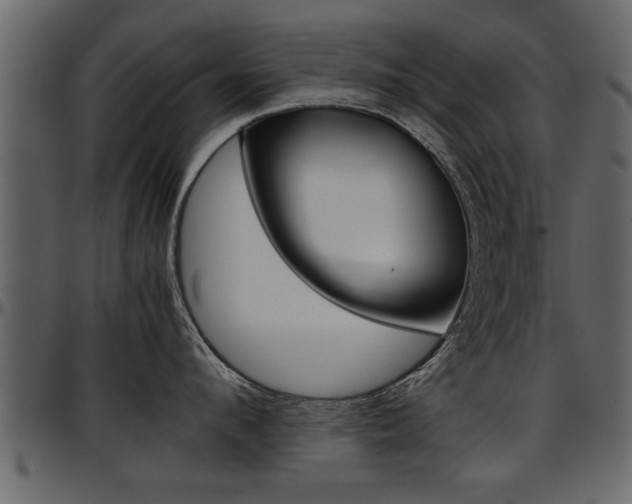 X0000097600912200802290729