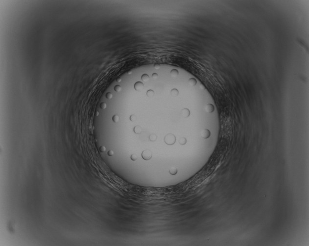X0000097600913200802290728