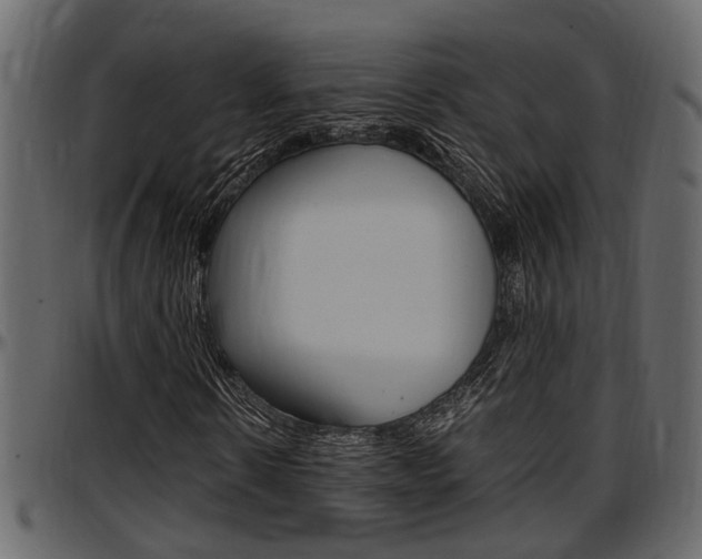 X0000097600914200802290728