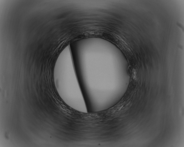 X0000097600915200802290728