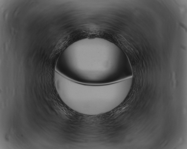 X0000097600916200802290728