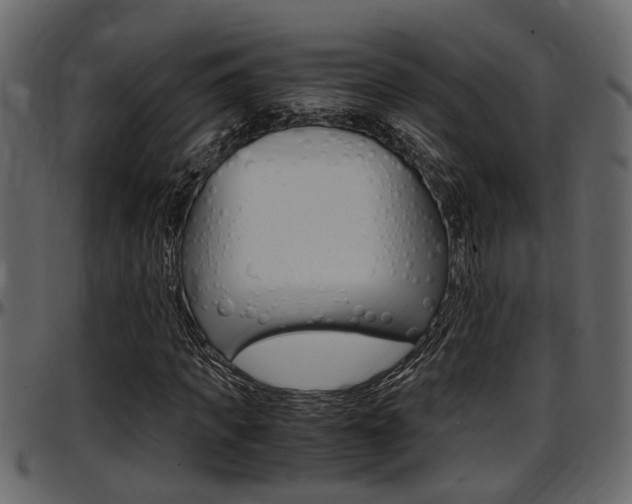 X0000097600917200802290728