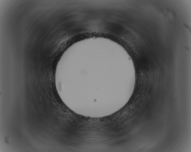 X0000097600918200802290728