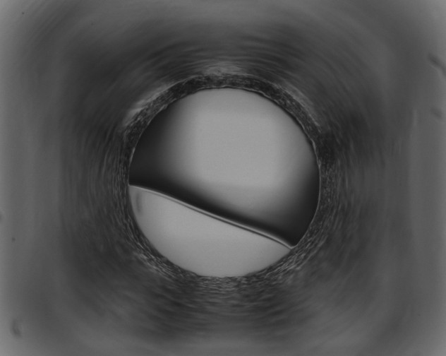 X0000097600919200802290728