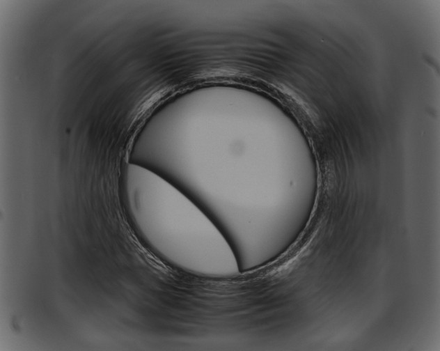 X0000097600921200802290728