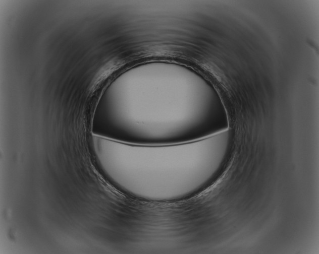 X0000097600922200802290728