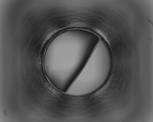 X0000097600923200802290728