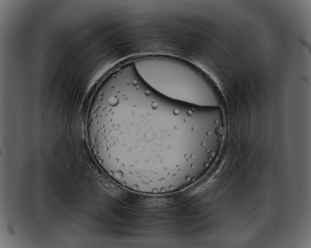 X0000097600925200802290728