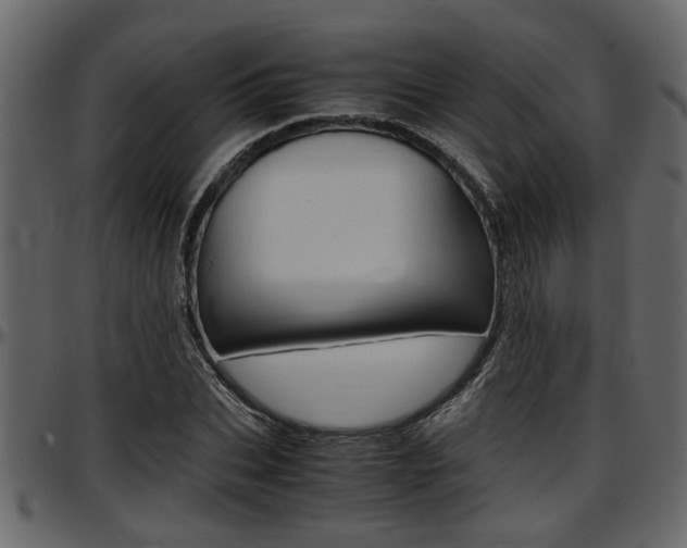 X0000097600927200802290728