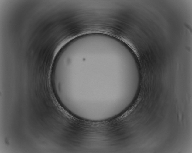 X0000097600928200802290728