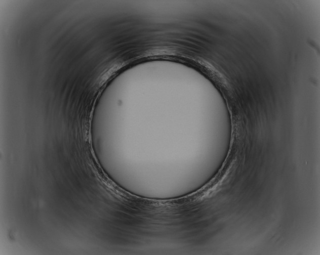X0000097600929200802290728