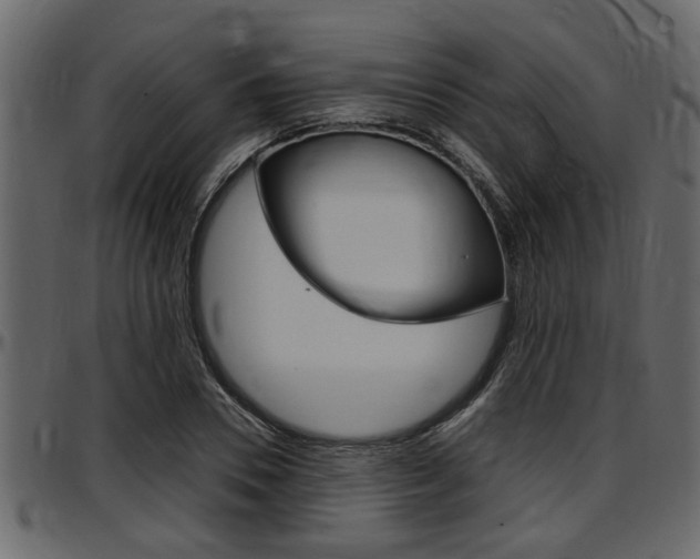 X0000097600930200802290728