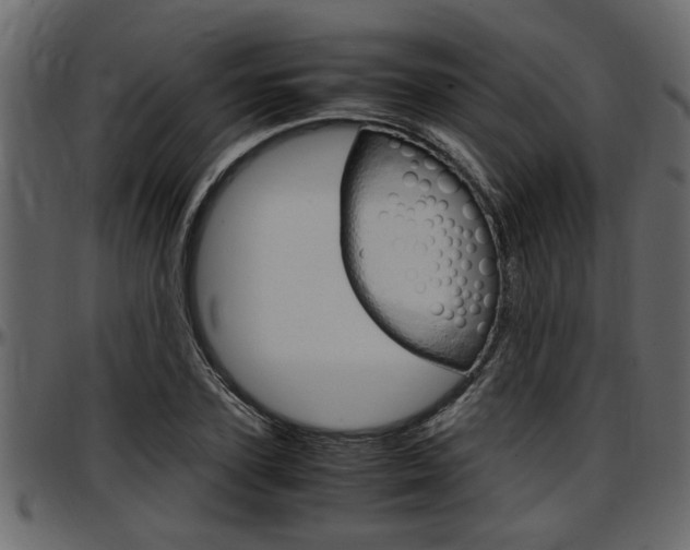 X0000097600931200802290728