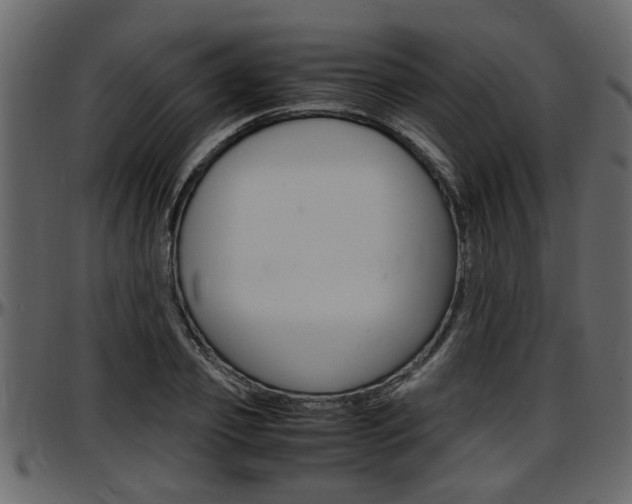 X0000097600933200802290728