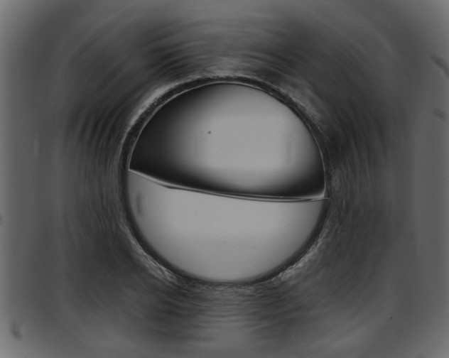 X0000097600934200802290728