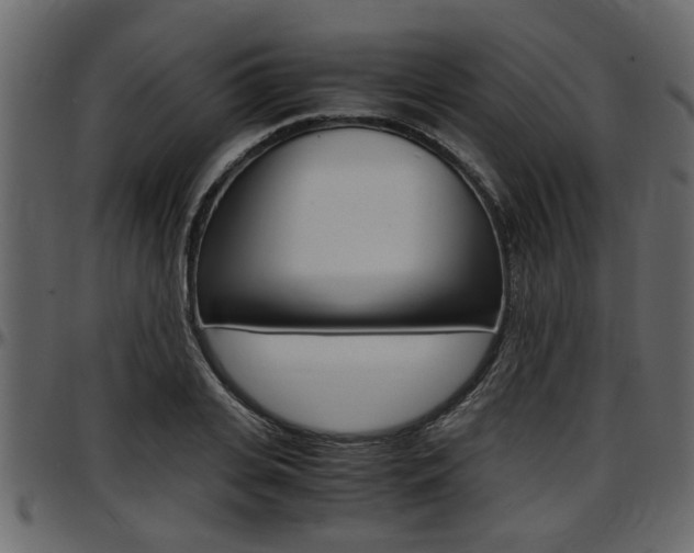 X0000097600935200802290728