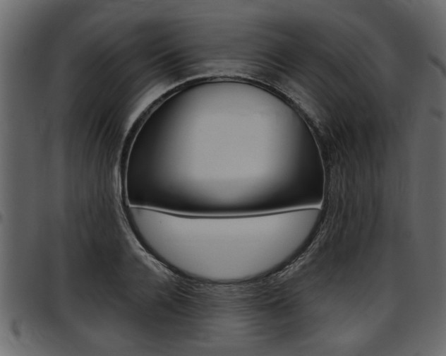 X0000097600936200802290728