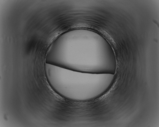 X0000097600937200802290728