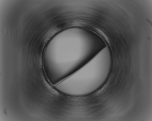 X0000097600938200802290728