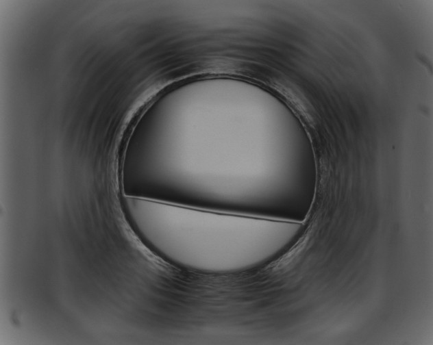 X0000097600939200802290728
