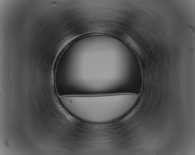 X0000097600940200802290728