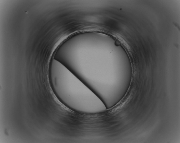 X0000097600941200802290728