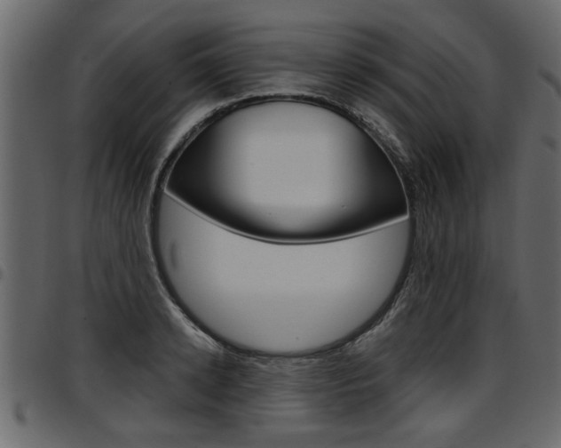 X0000097600942200802290728