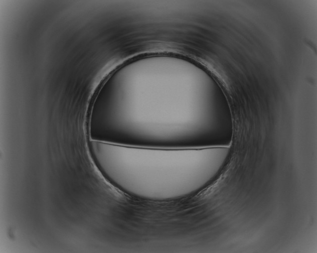 X0000097600943200802290728