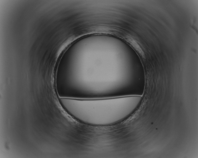 X0000097600944200802290728