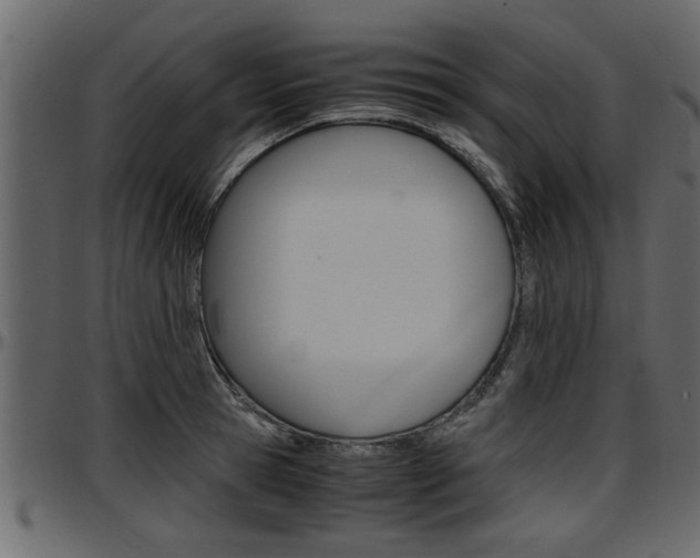 X0000097600945200802290728