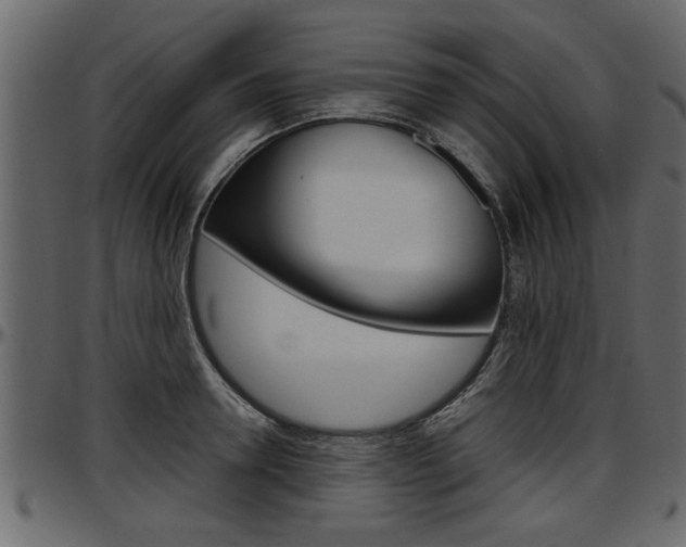 X0000097600946200802290728