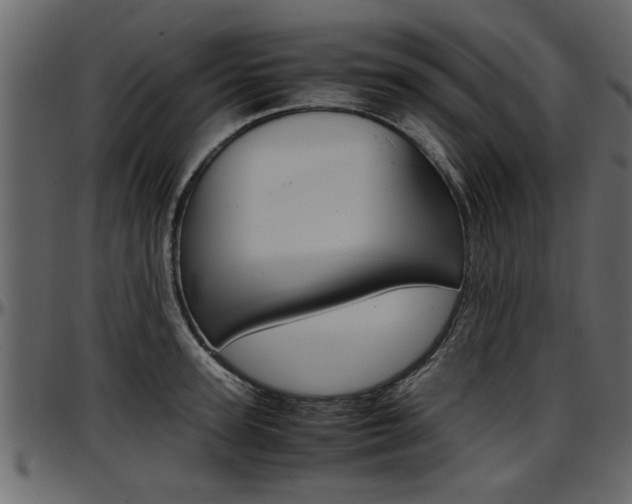 X0000097600947200802290728