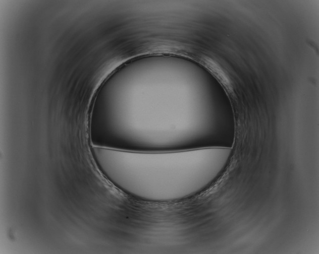X0000097600948200802290728