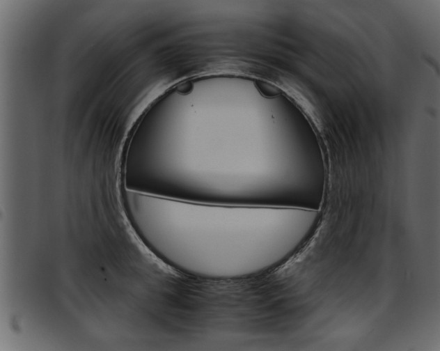 X0000097600949200802290729