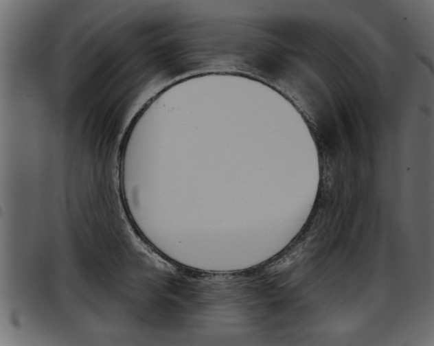 X0000097600950200802290729