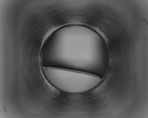 X0000097600951200802290729