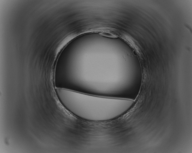 X0000097600952200802290729