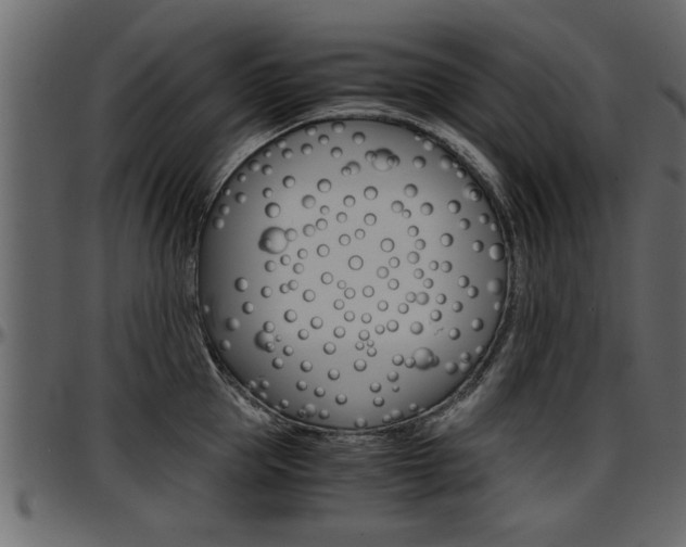 X0000097600953200802290729