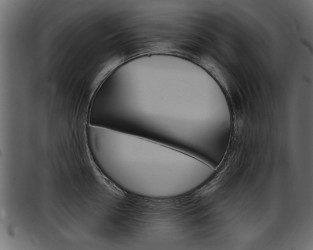 X0000097600954200802290729