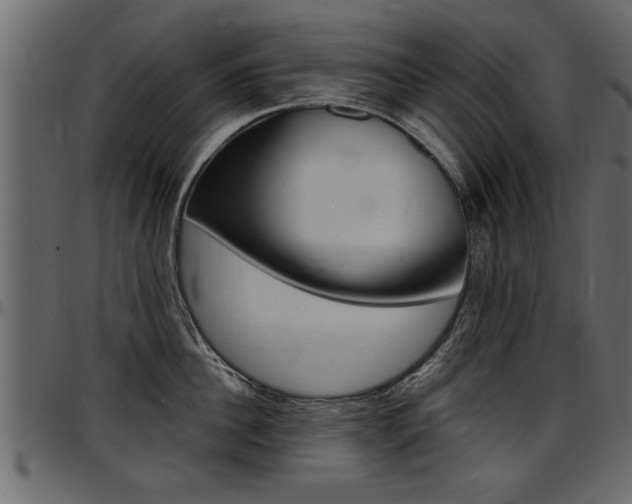 X0000097600956200802290729