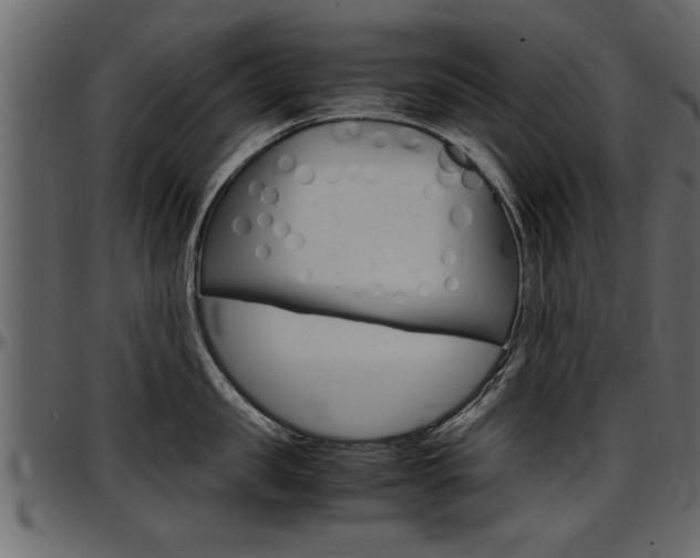 X0000097600957200802290729