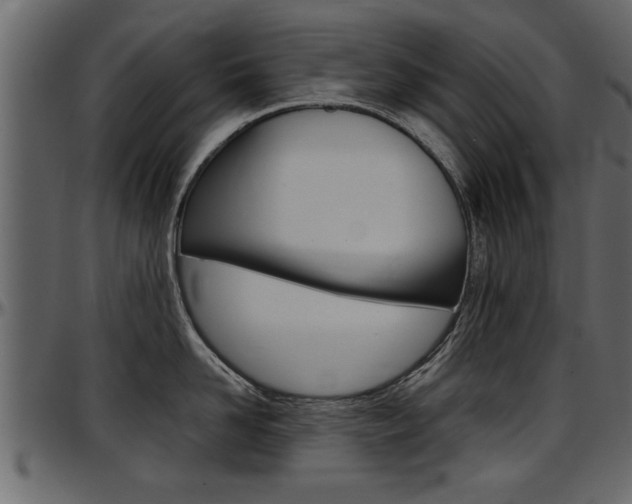 X0000097600958200802290729