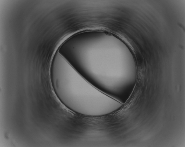 X0000097600959200802290729