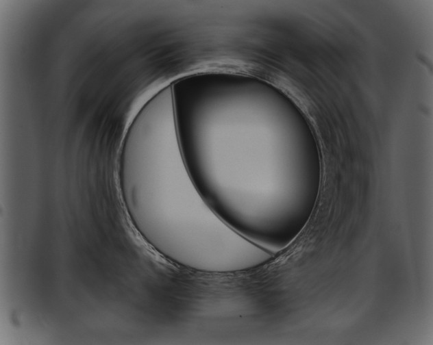 X0000097600960200802290729