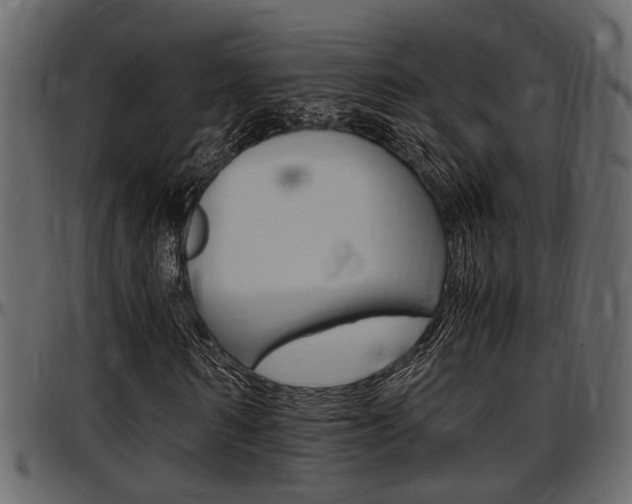 X0000097600962200802290728