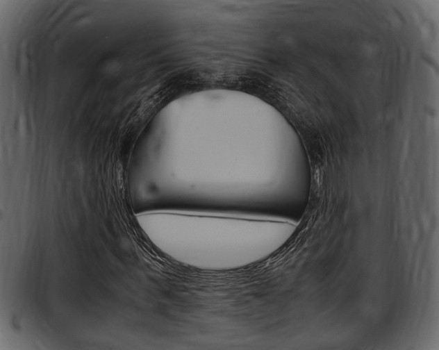 X0000097600963200802290728