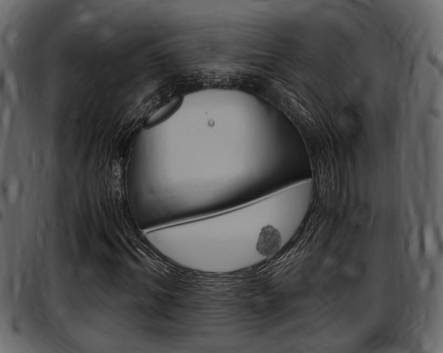 X0000097600964200802290728