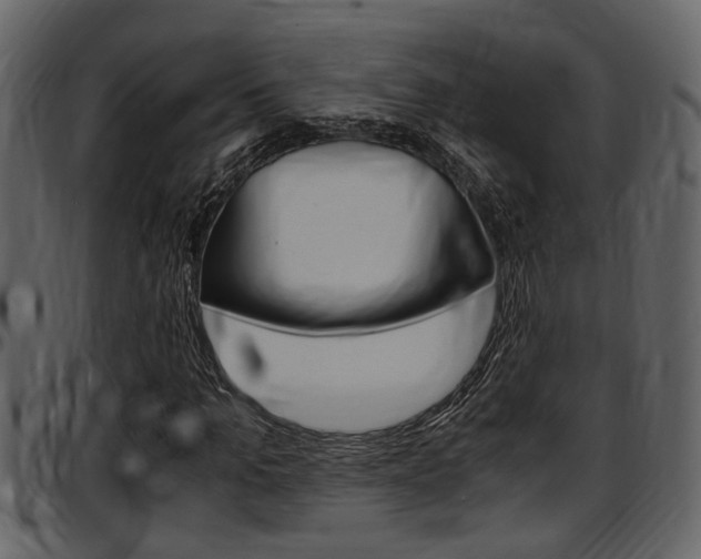X0000097600965200802290728